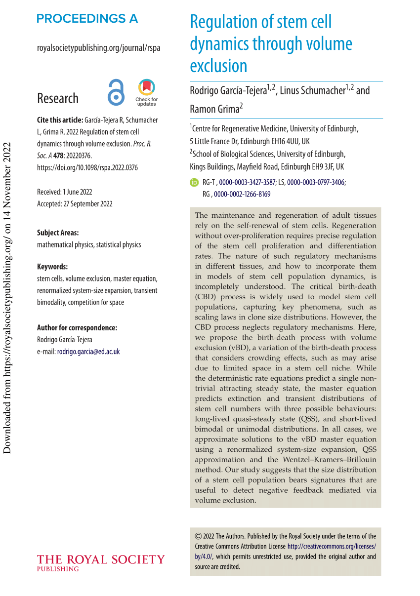 PDF Regulation of stem cell dynamics through volume exclusion