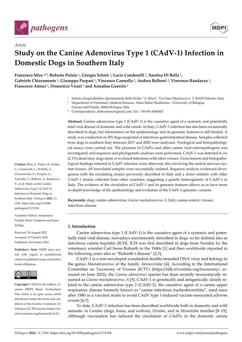 (PDF) Study on the Canine Adenovirus Type 1 (CAdV-1) Infection in