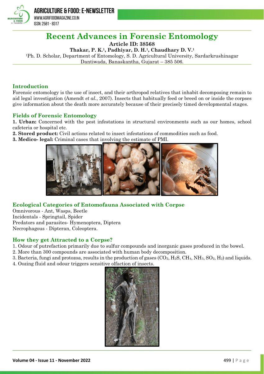 forensic entomology case study assignment