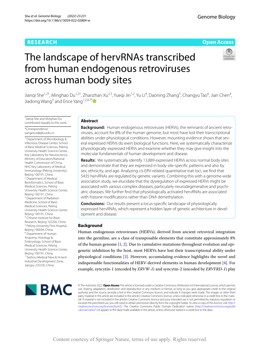 Ancient viral remnants in the human genome ar