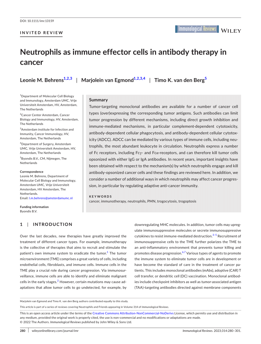 (PDF) Neutrophils as immune effector cells in antibody therapy in cancer