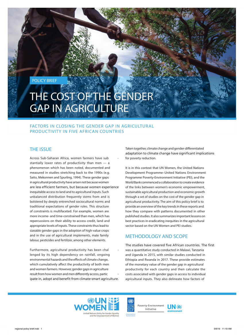 Pdf The Cost Of The Gender Gap In Agriculture Factors In Closing The Gender Gap In