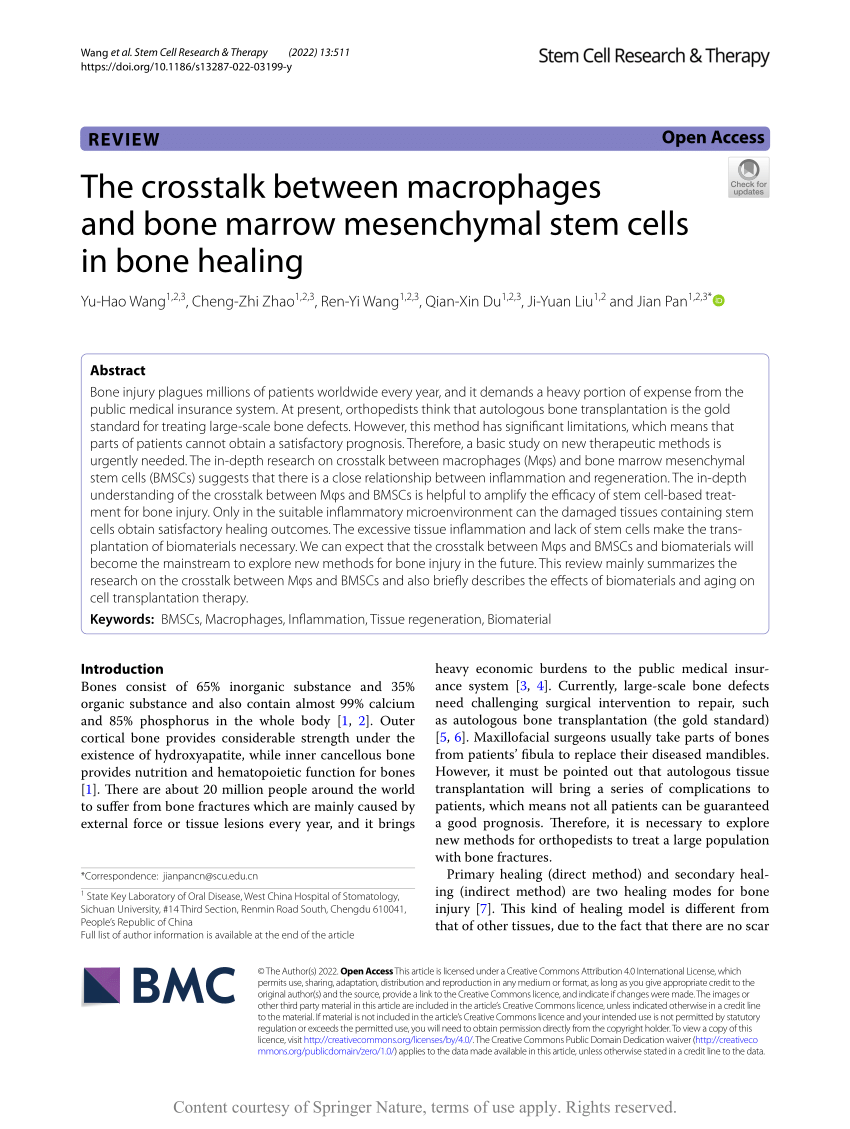 PDF) The crosstalk between macrophages and bone marrow mesenchymal 