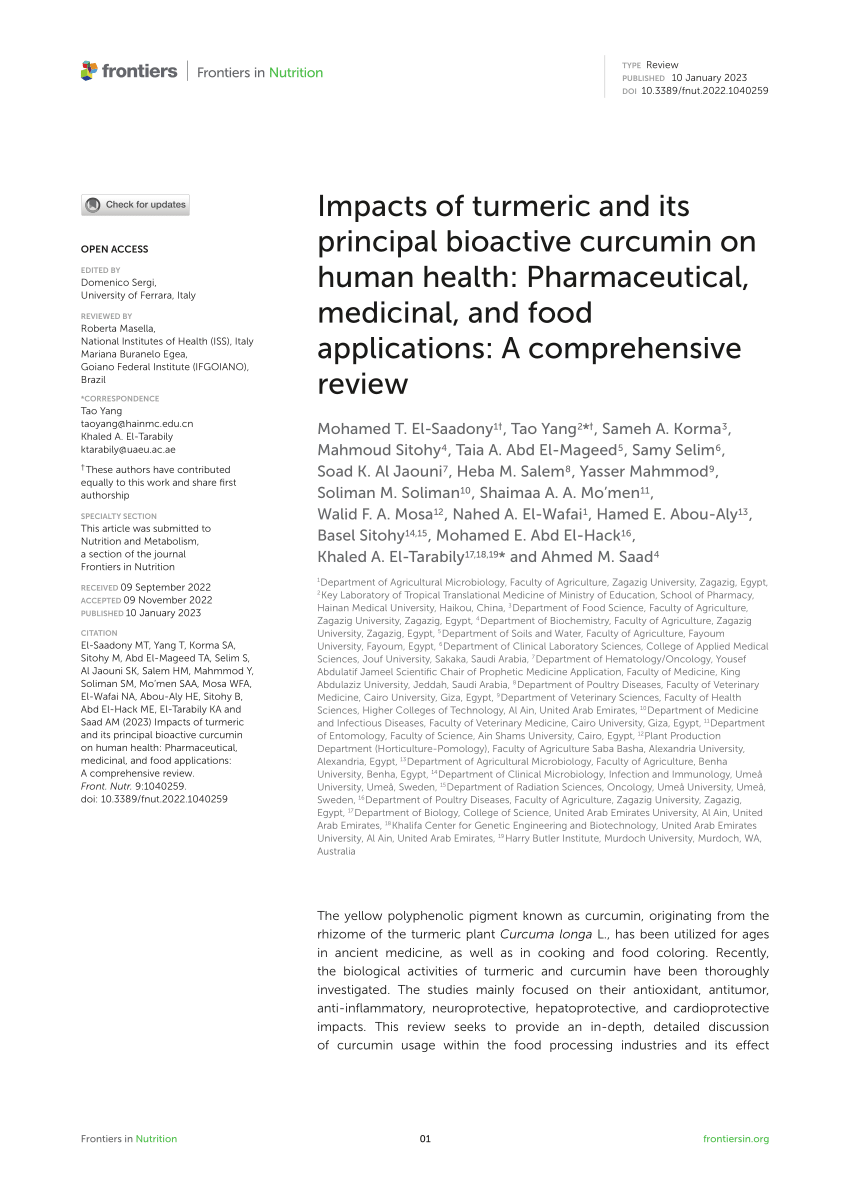 literature review on turmeric pdf