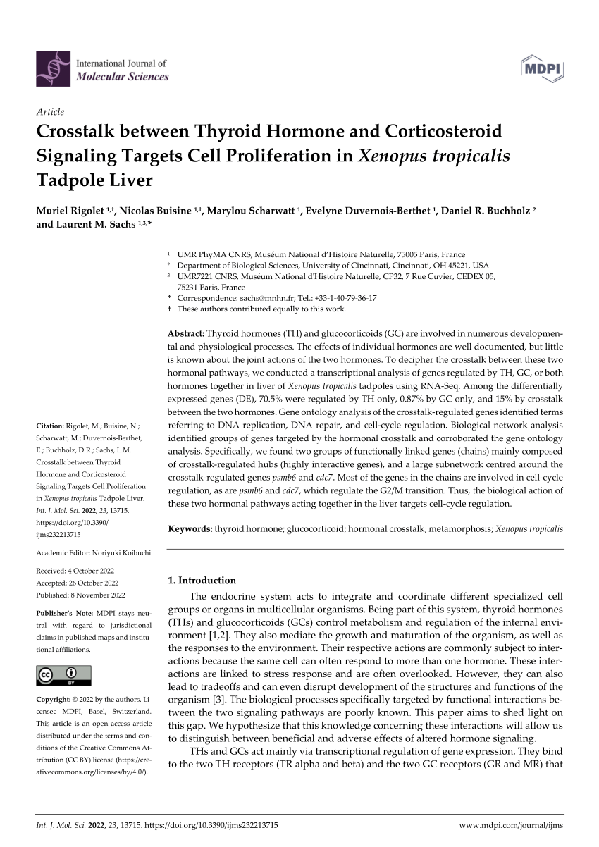 PDF) Crosstalk between Thyroid Hormone and Corticosteroid Signaling Targets  Cell Proliferation in Xenopus tropicalis Tadpole Liver