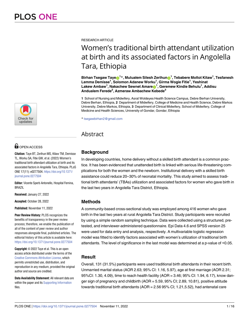 literature review traditional birth attendants