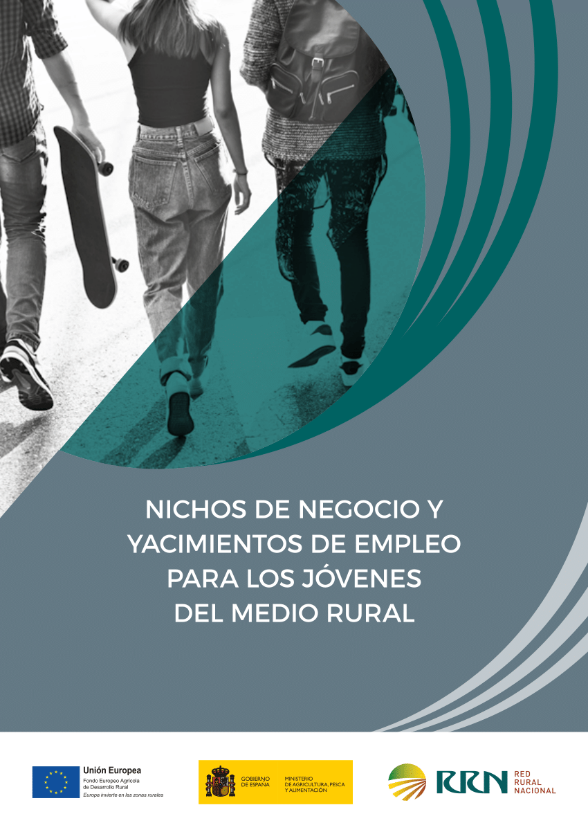 PDF) NICHOS DE NEGOCIO Y YACIMIENTOS DE EMPLEO PARA LOS JÓVENES
