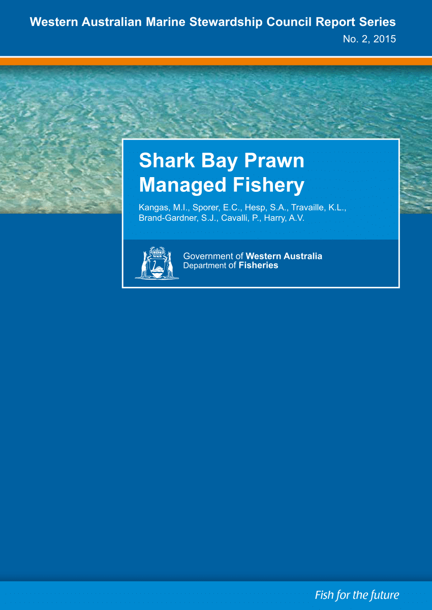 PDF) Shark Bay Prawn Fishery.