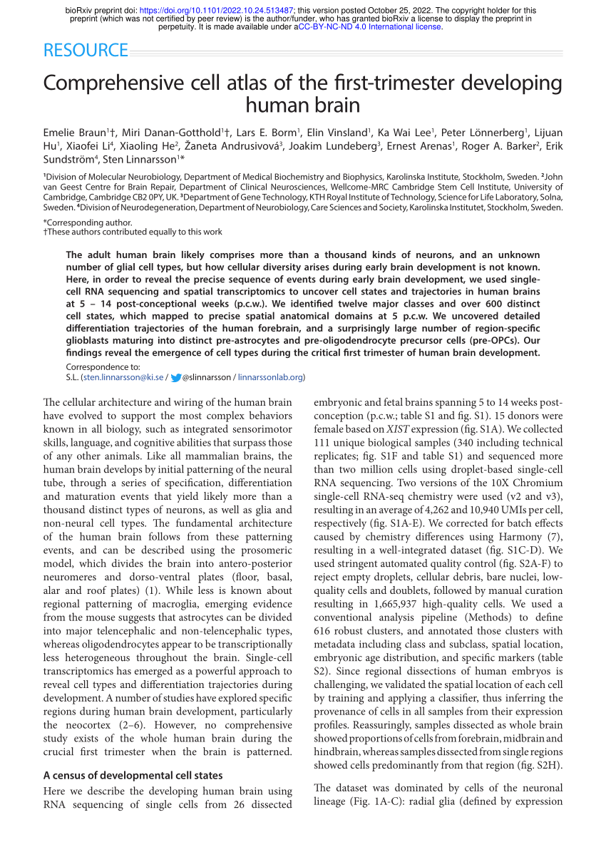 Pdf Comprehensive Cell Atlas Of The First Trimester Developing Human Brain 6222