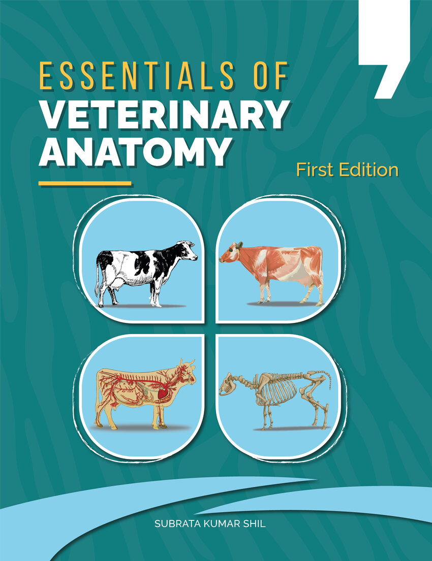 PDF) Essentials of Veterinary Anatomy