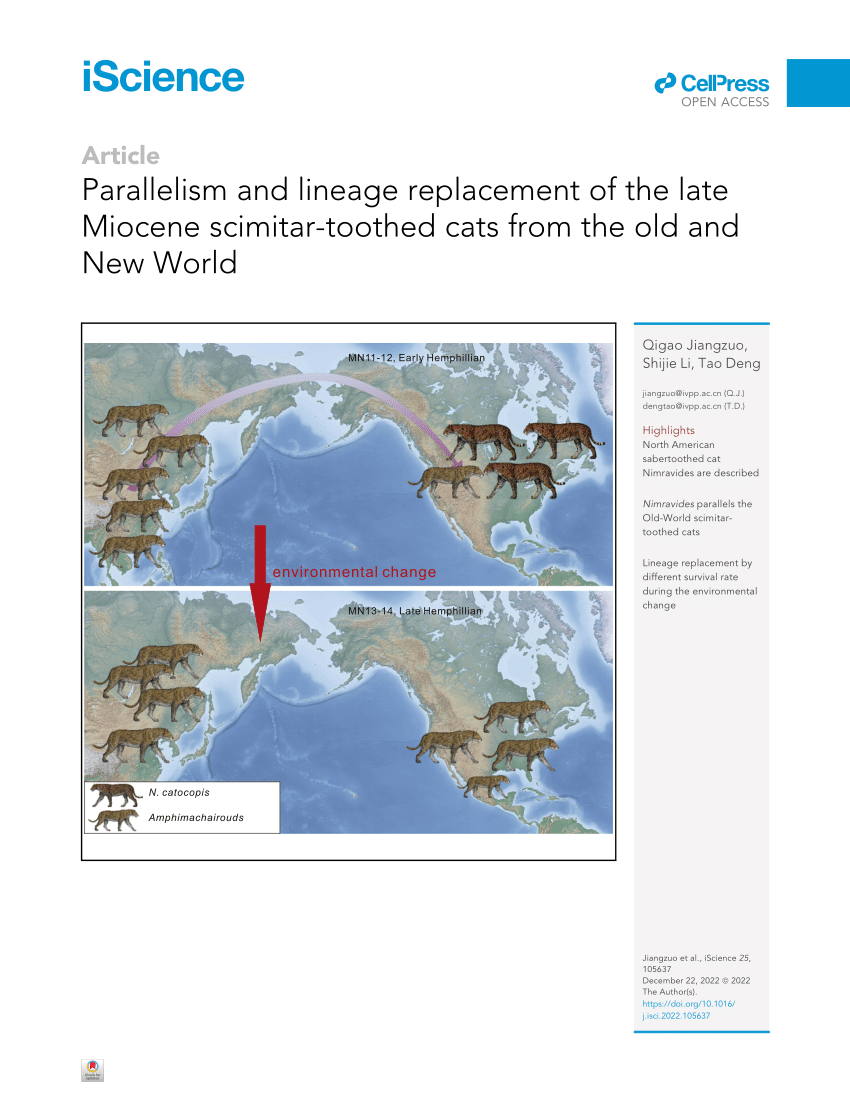 Synapsida: Pliocene (Pt 5): The Last Sabretooths in Europe