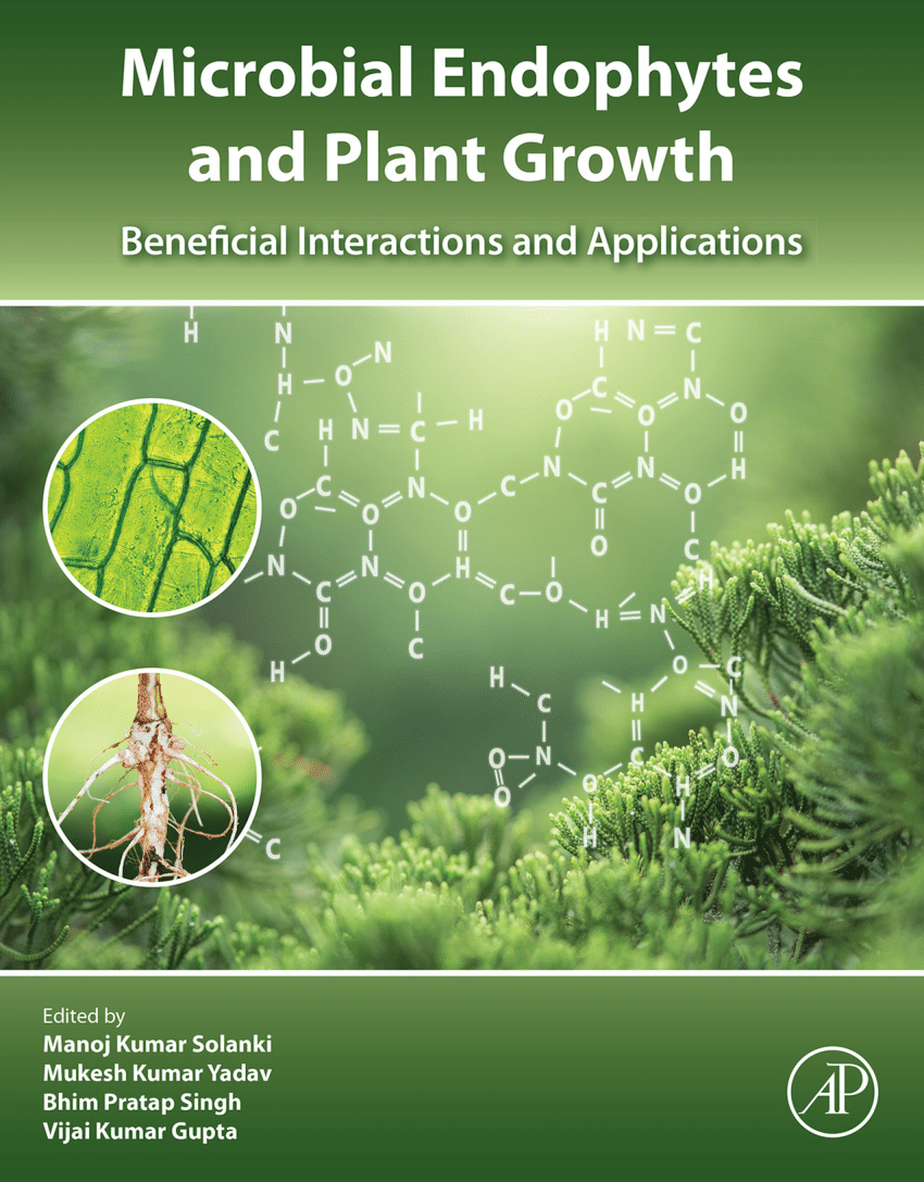 PDF) The potential of endophytes to sustain plant performance in a 