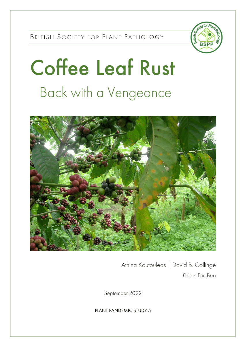 PDF) Coffee Rust Forecast Systems: Development of a Warning Platform in a  Minas Gerais State, Brazil