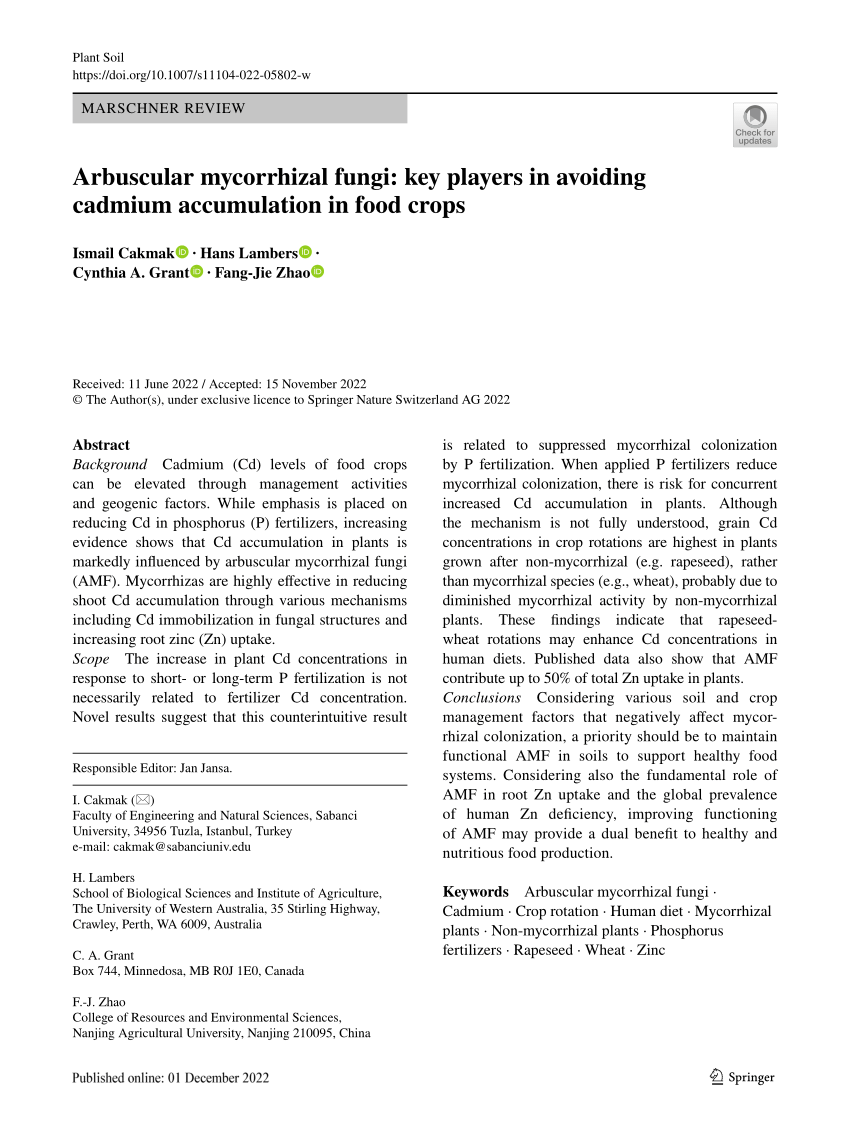 PDF) Arbuscular mycorrhizal fungi: key players in avoiding cadmium 