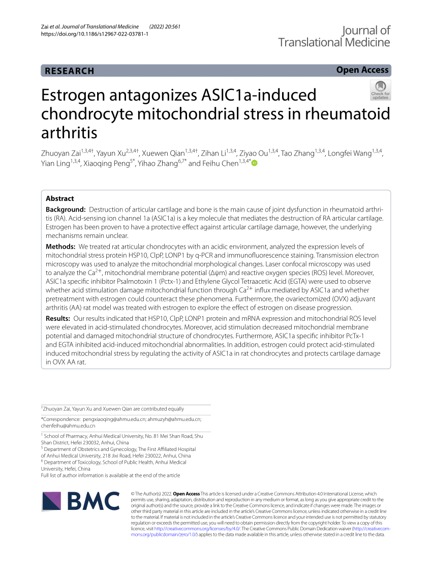 PDF) Estrogen antagonizes ASIC1a-induced chondrocyte mitochondrial 