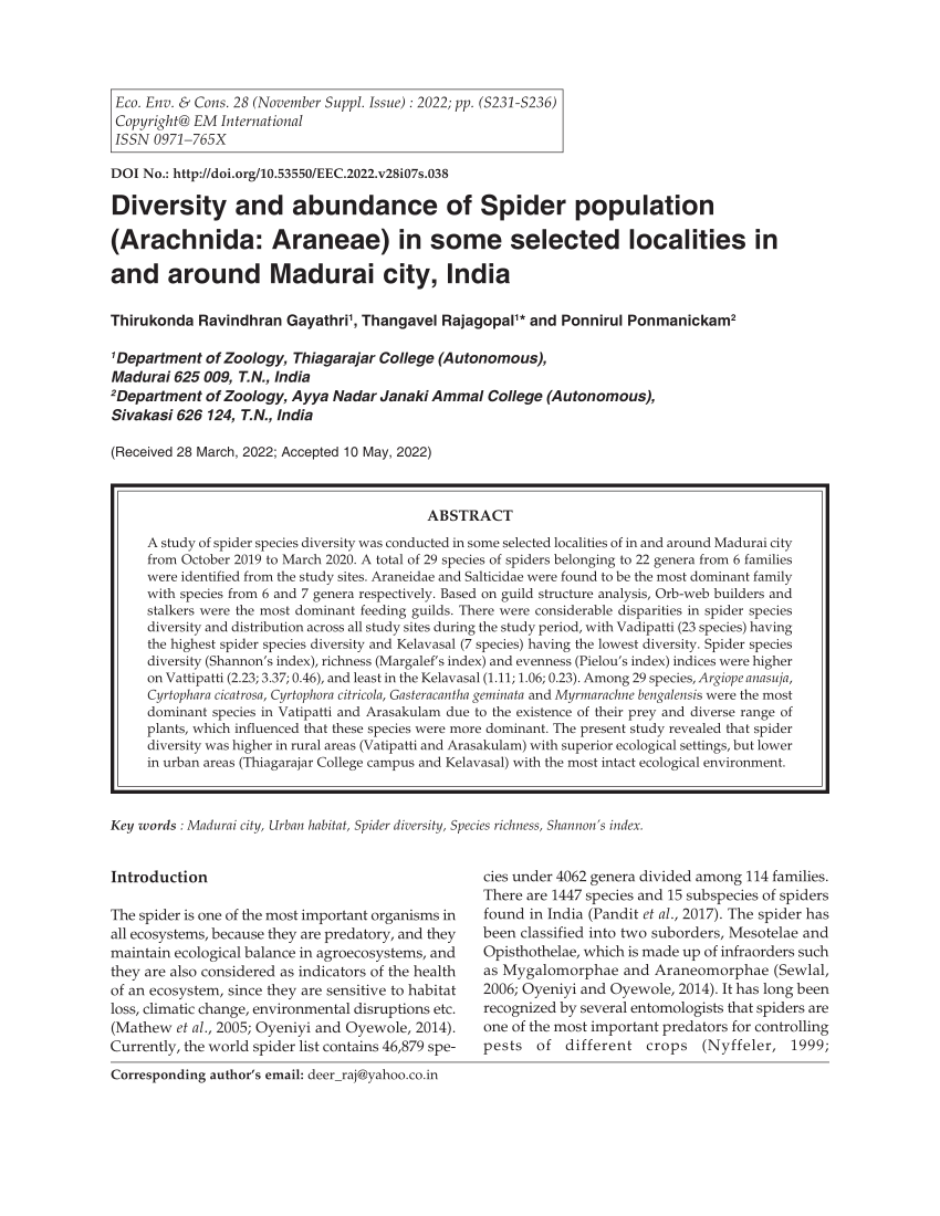 diversity of spider research paper