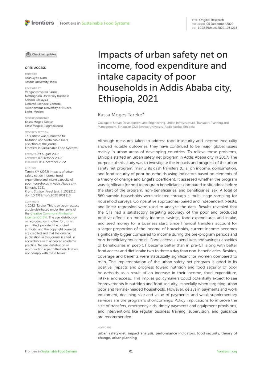 sample thesis proposal on urban safety net in ethiopia