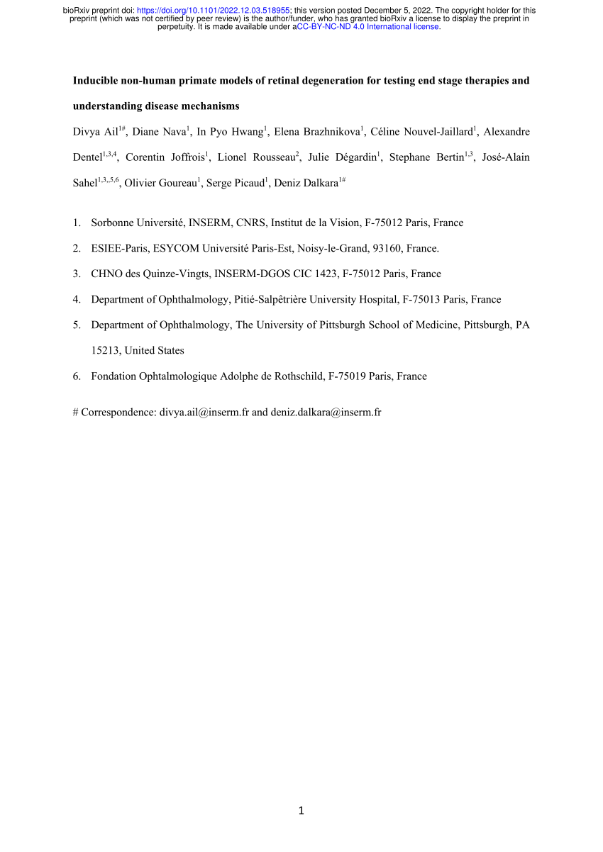 Pdf Inducible Non Human Primate Models Of Retinal Degeneration For Testing End Stage Therapies 5026