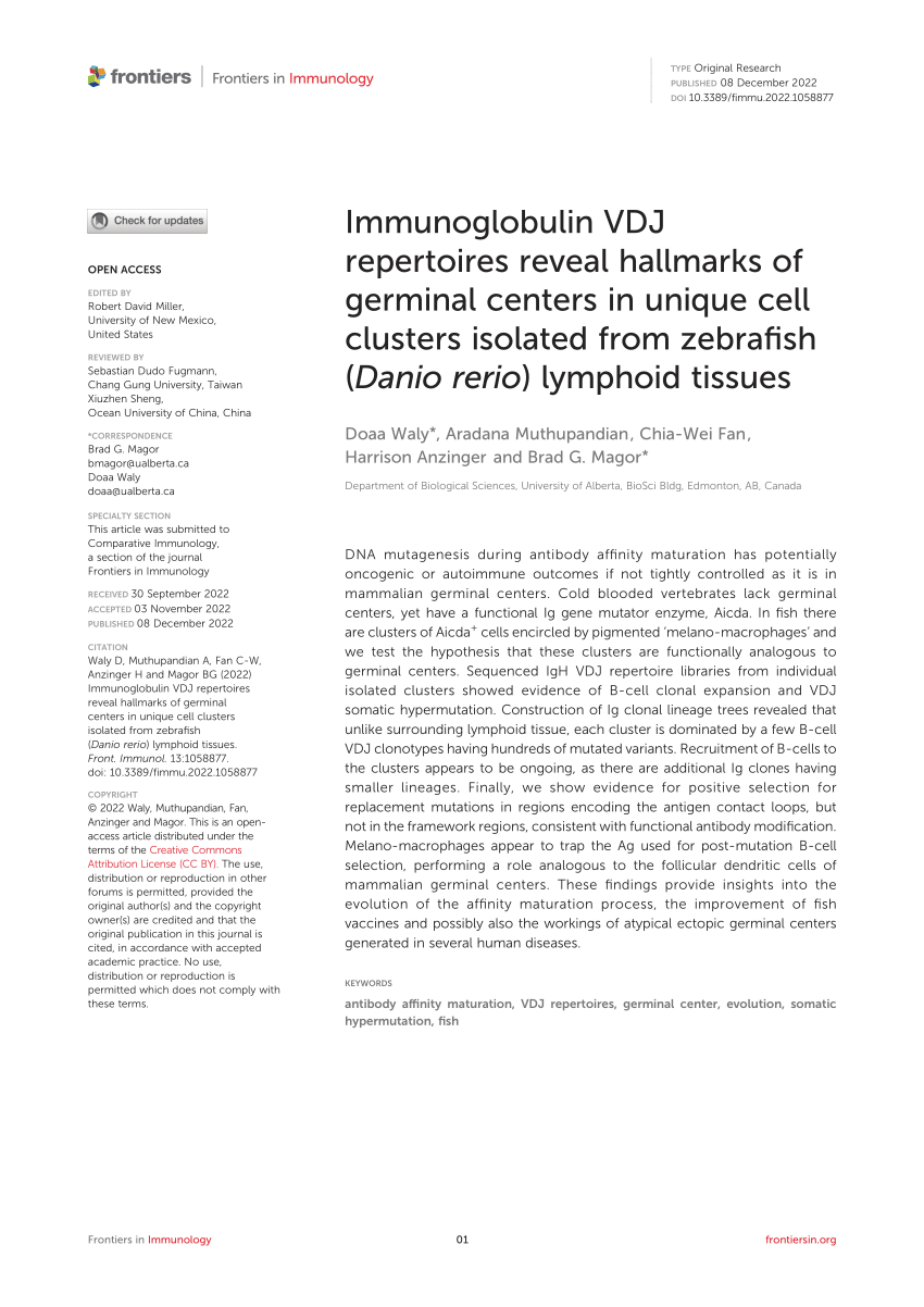 (PDF) Immunoglobulin VDJ repertoires reveal hallmarks of germinal