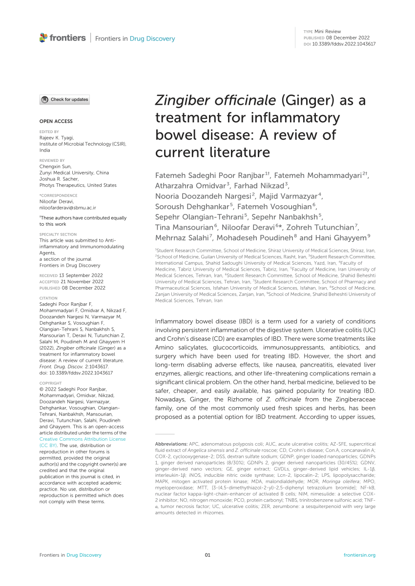 literature review on zingiber officinale