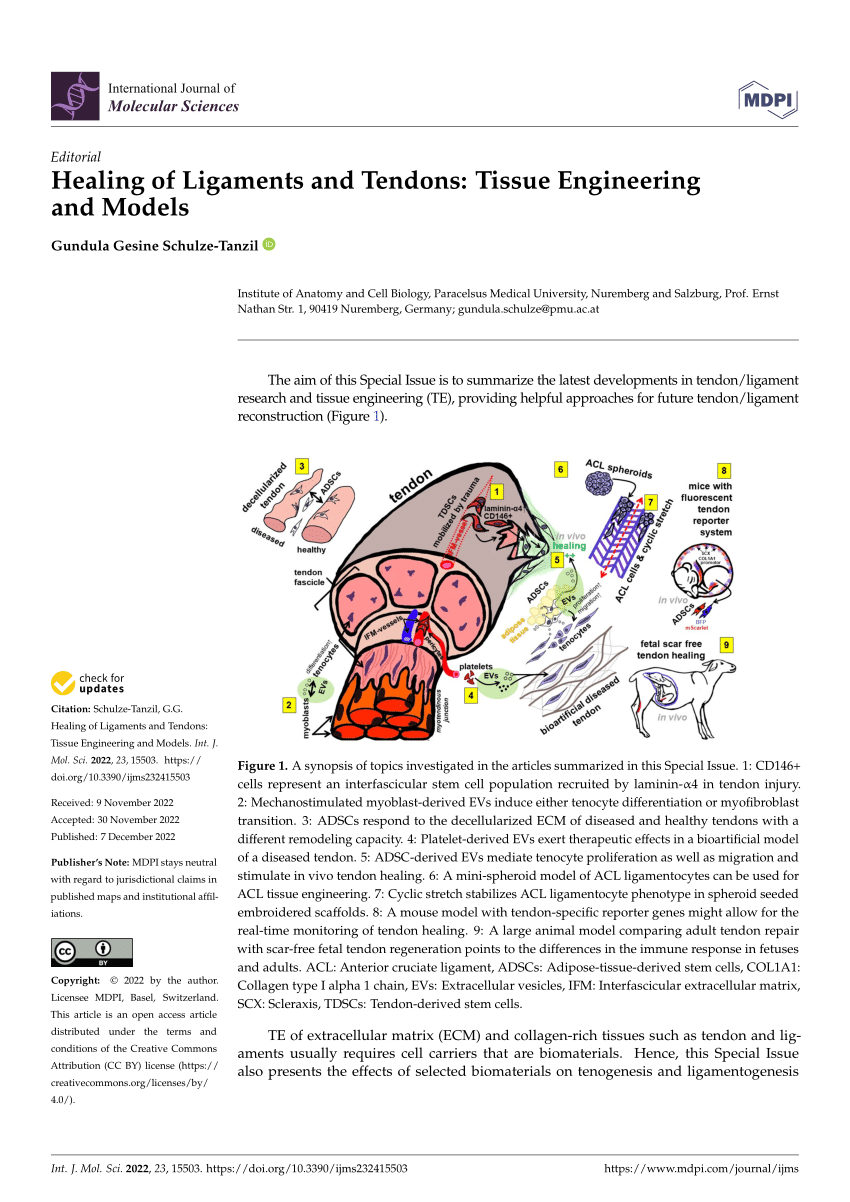 tissue engineering research articles