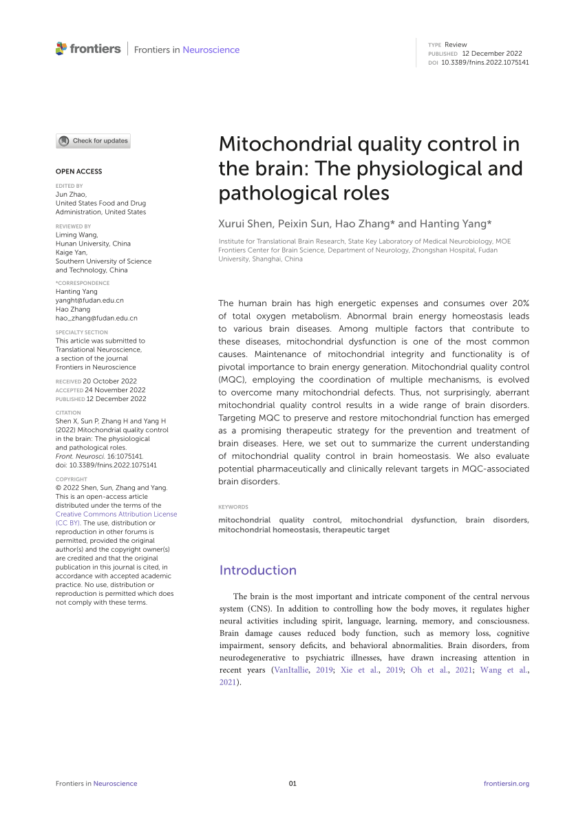 PDF Mitochondrial Quality Control In The Brain The Physiological And Pathological Roles