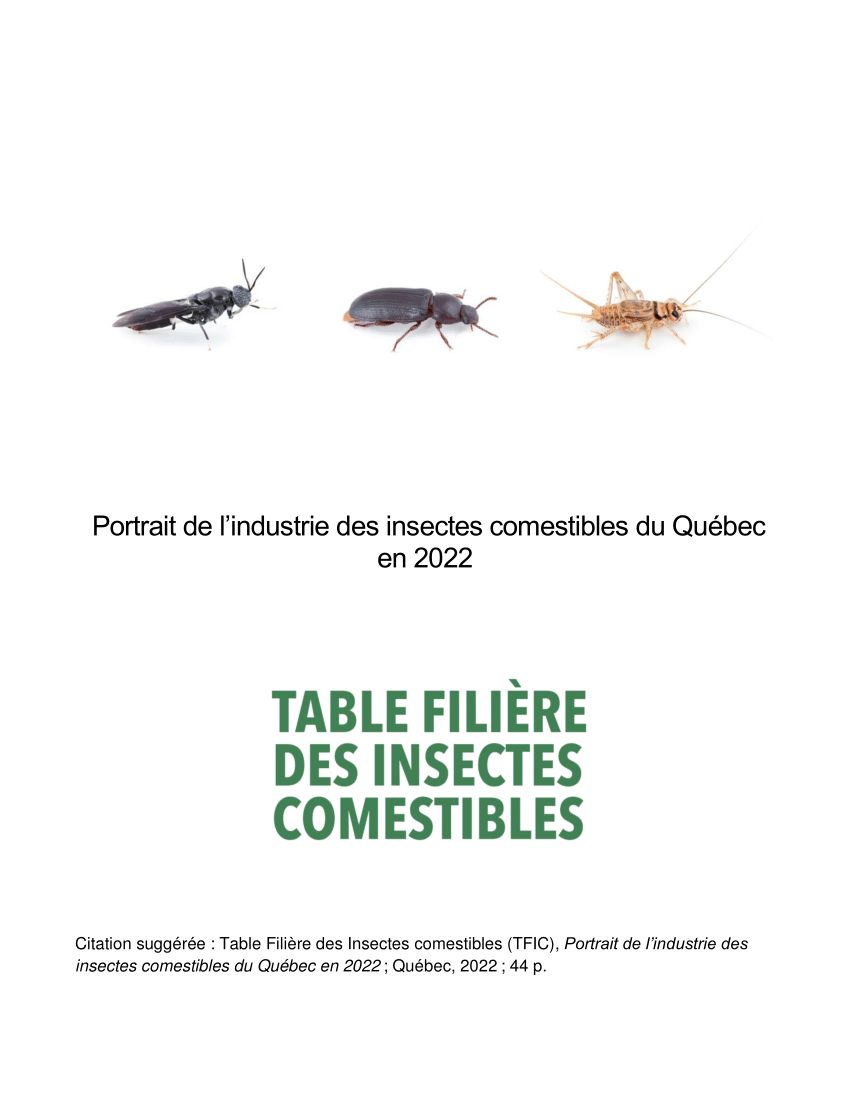 Insectes comestibles - TriCycle