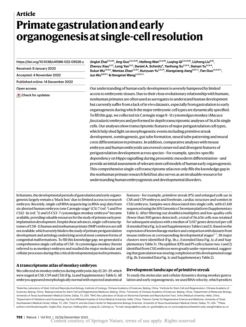 (PDF) Primate gastrulation and early organogenesis at singlecell