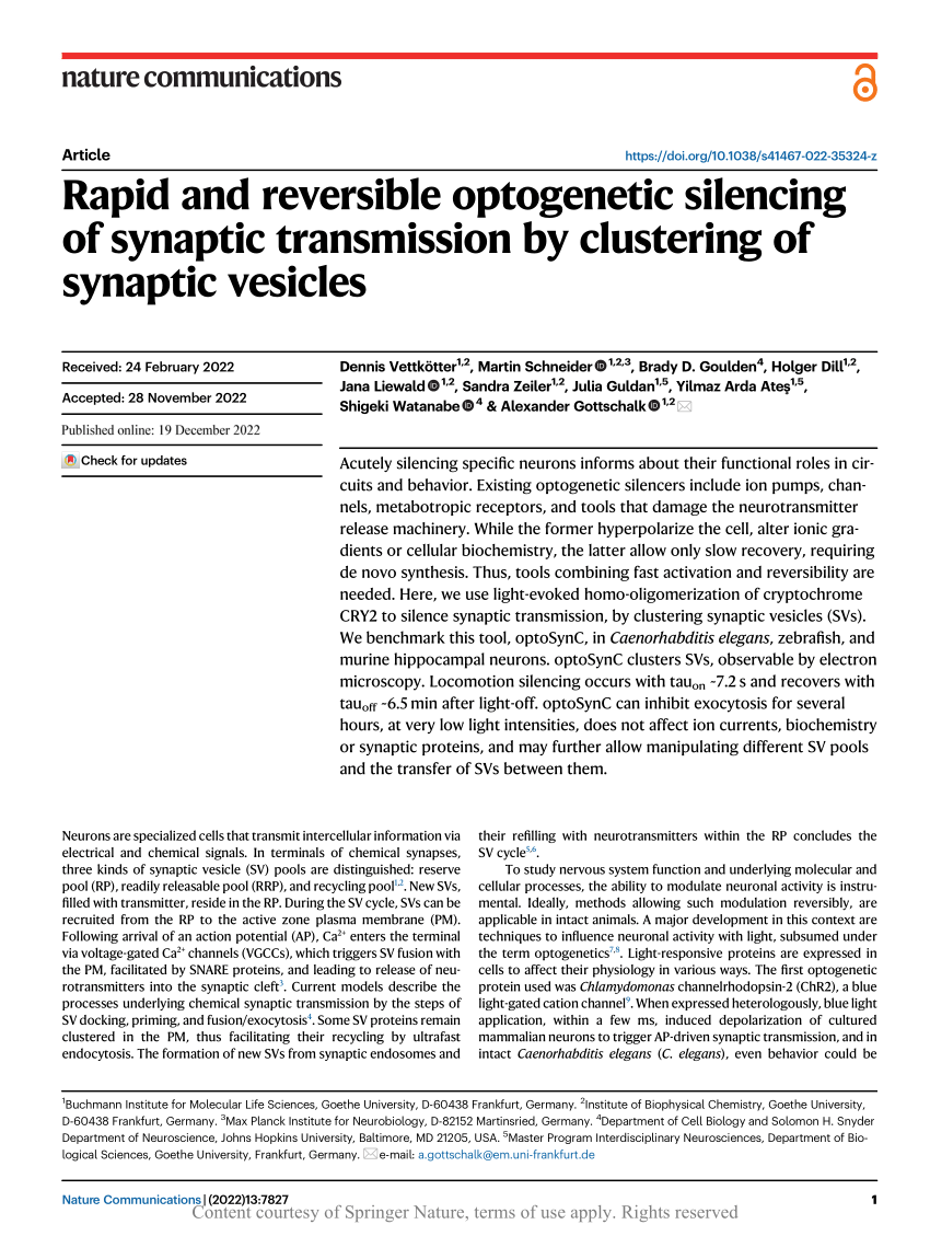 PDF) Rapid and reversible optogenetic silencing of synaptic 