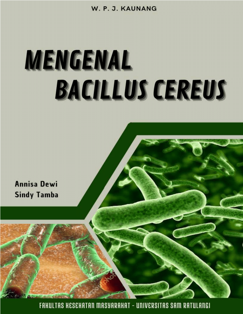 (PDF) Bacillus Cereus