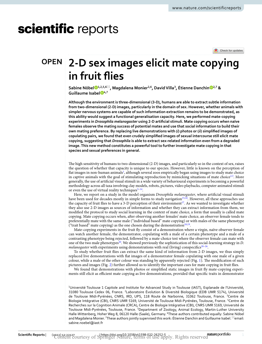 PDF 2 D sex images elicit mate copying in fruit flies 