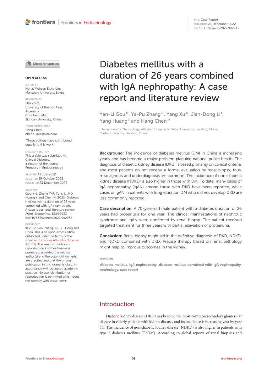 literature reviews on diabetes mellitus