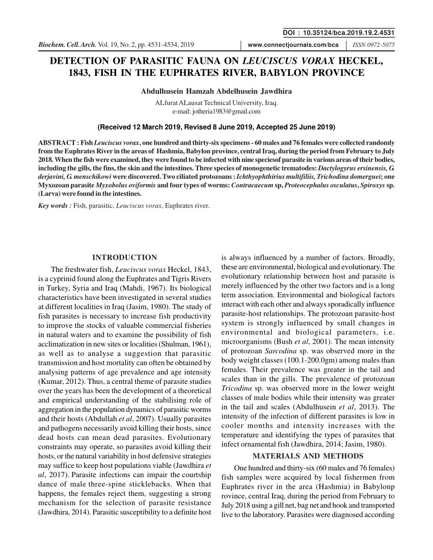 (PDF) Detection of parasitic fauna on Leuciscus vorax Heckel, 1843 ...