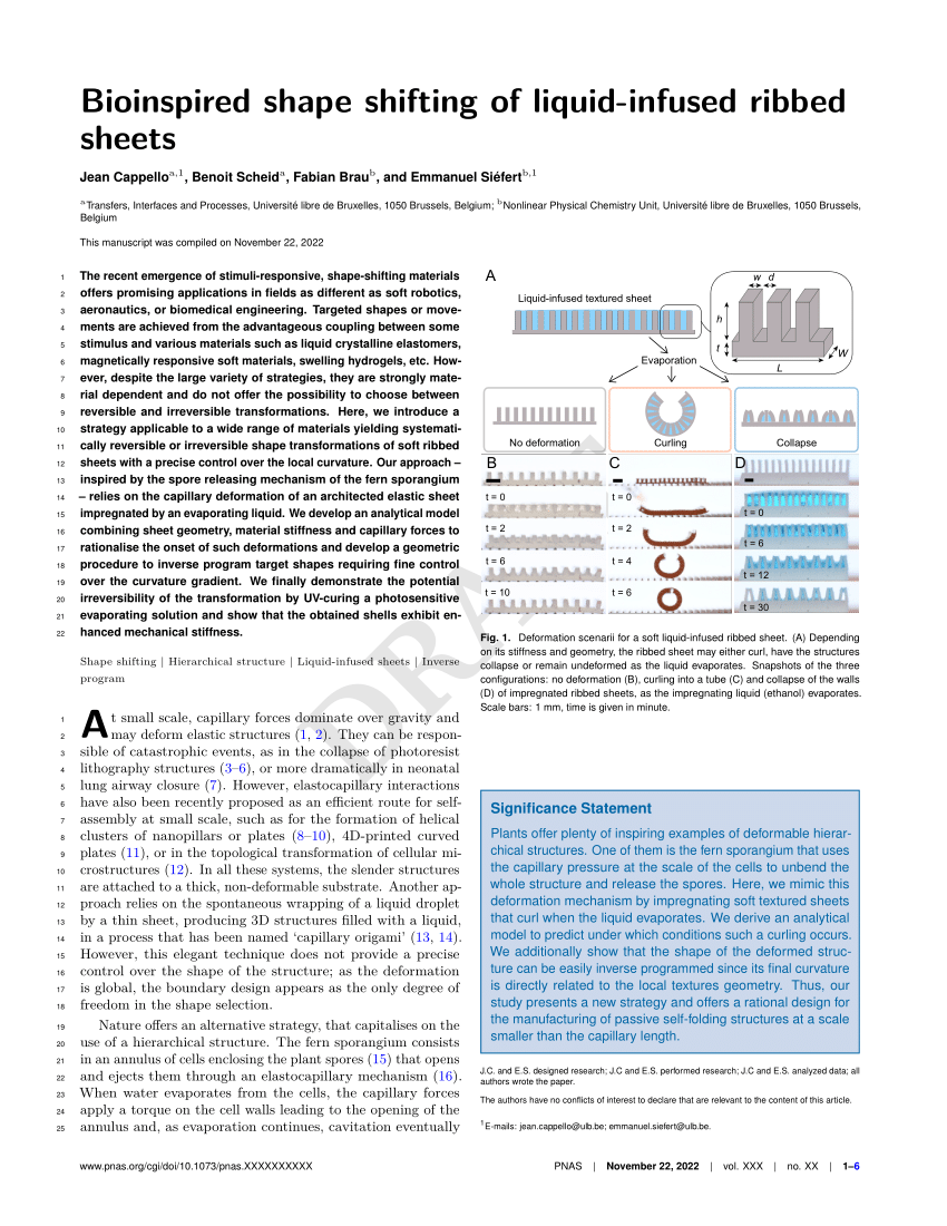 Emmanuel Siéfert – Nonlinear Physical Chemistry Unit – Université