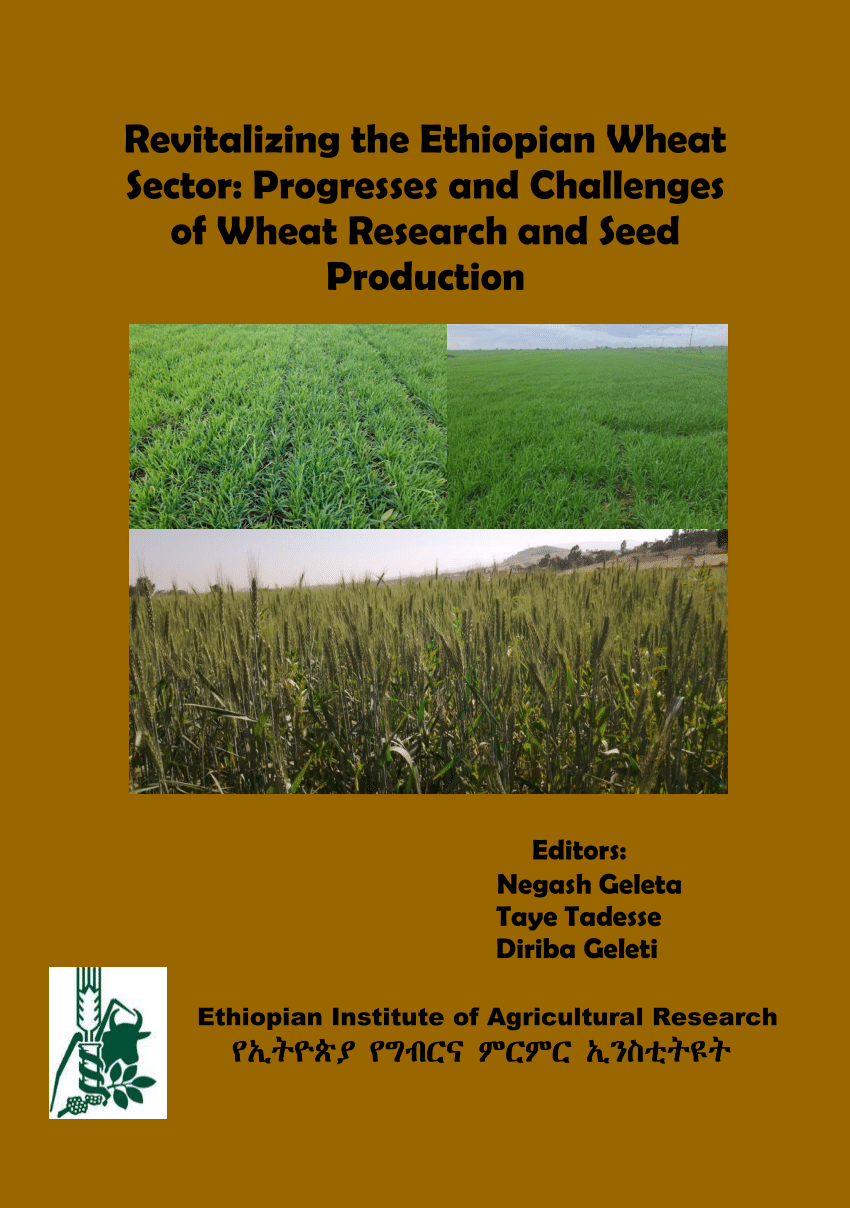 literature review on wheat production in ethiopia