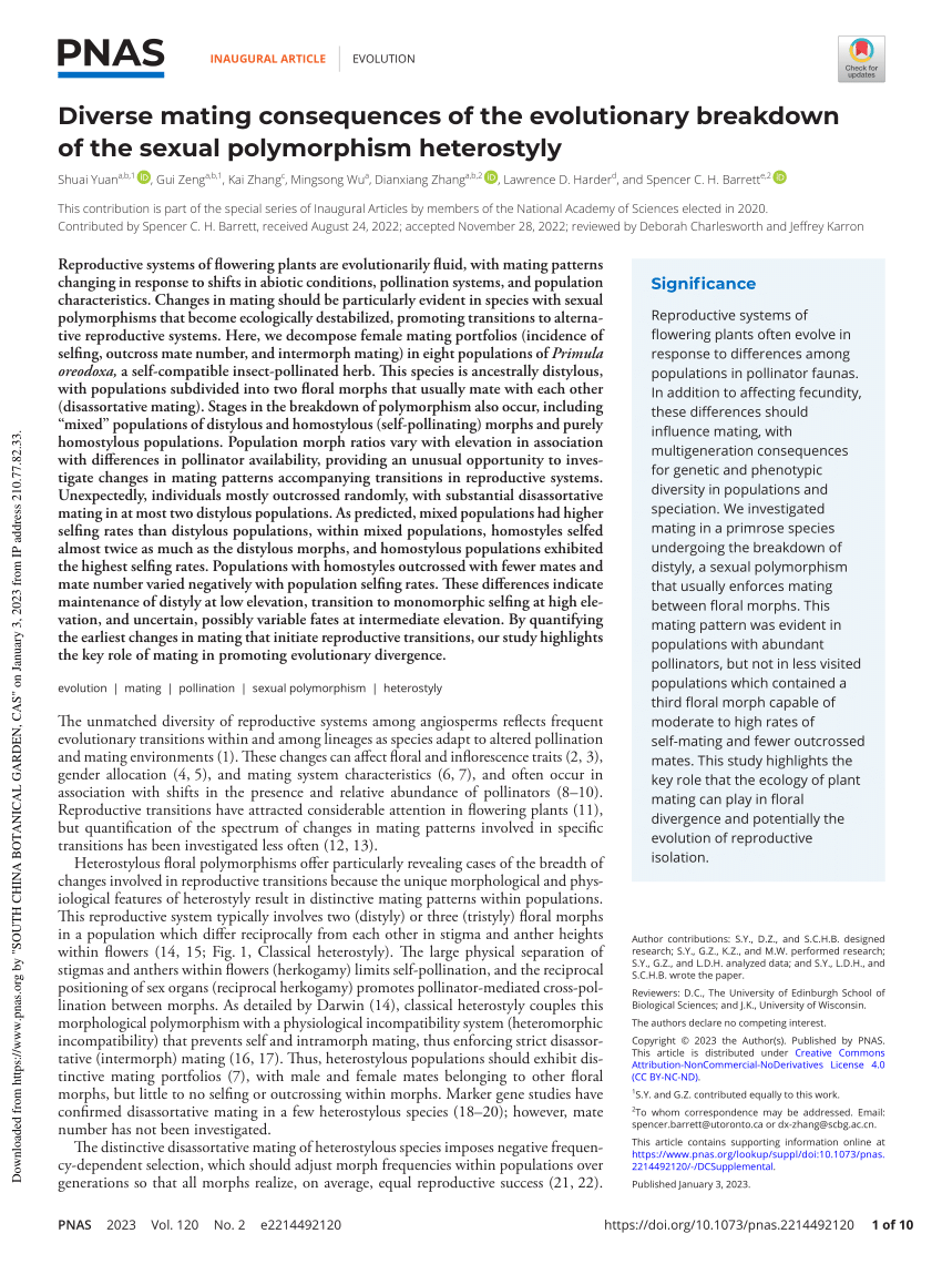 Diverse mating consequences of the evolutionary breakdown of the sexual  polymorphism heterostyly