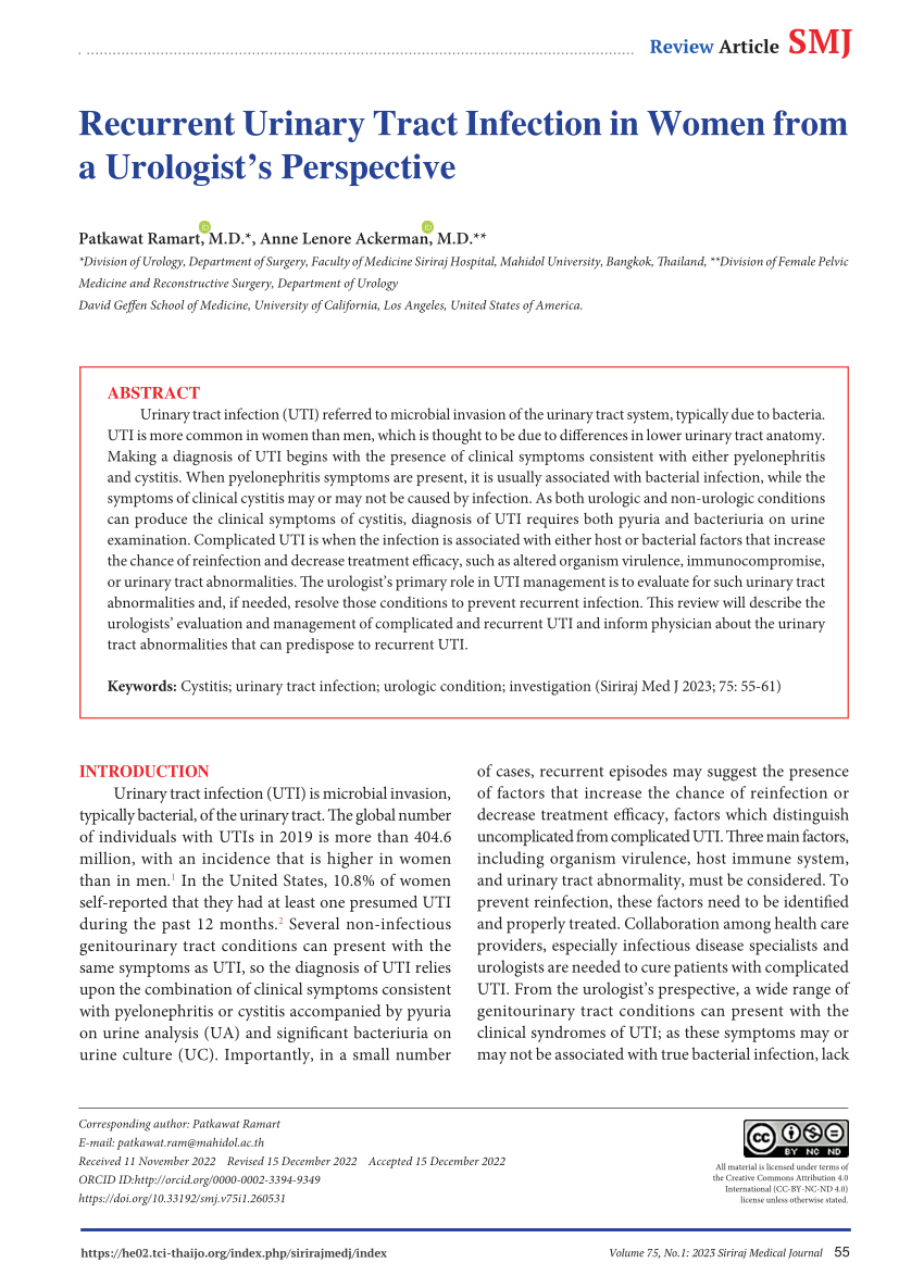 literature review on urinary tract infection