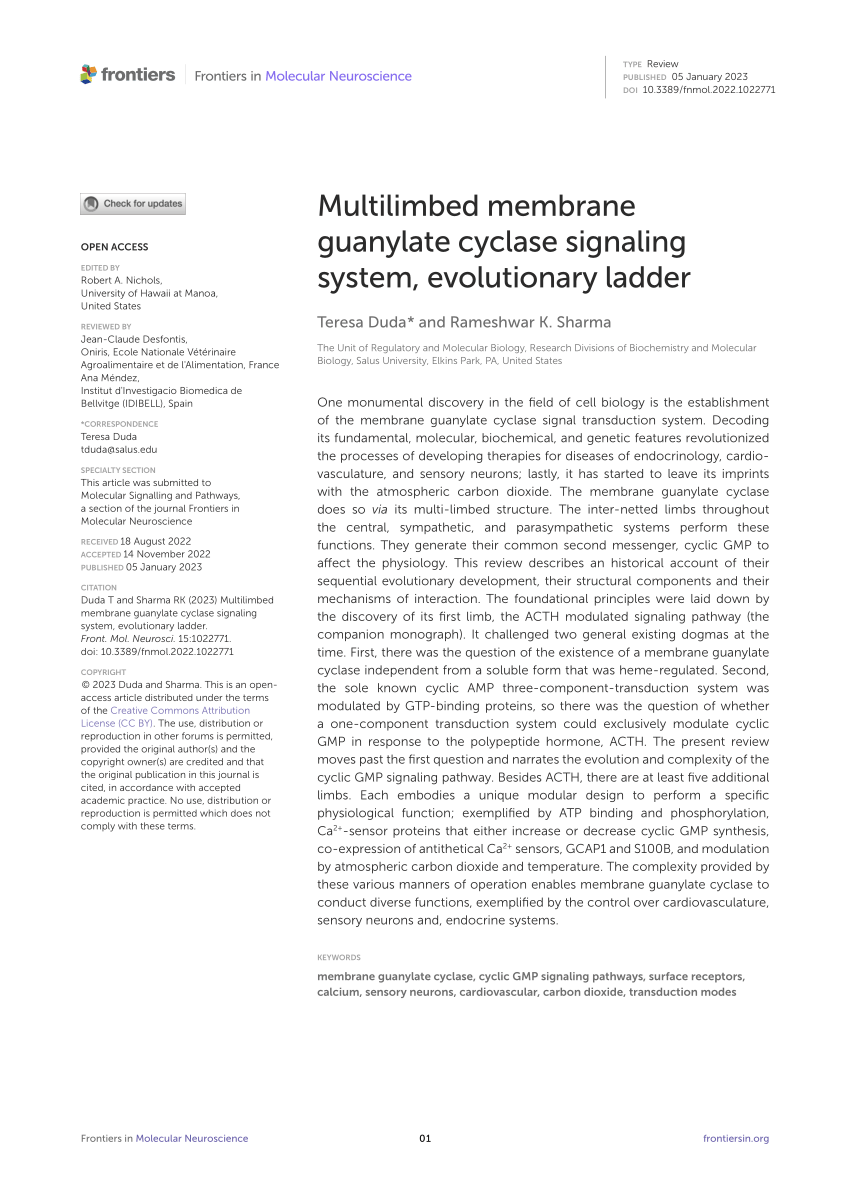 Frontiers  Multilimbed membrane guanylate cyclase signaling