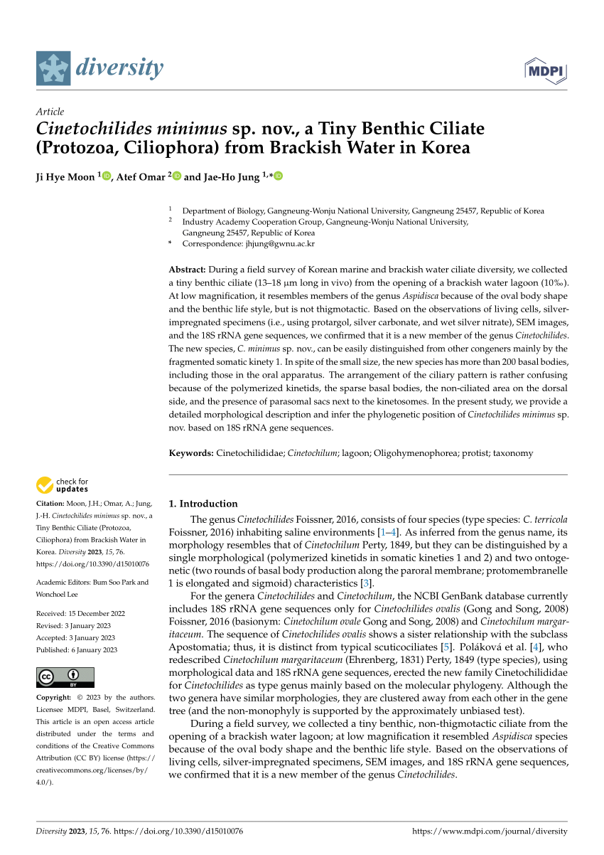 Protozoa Diversity Image, Image License