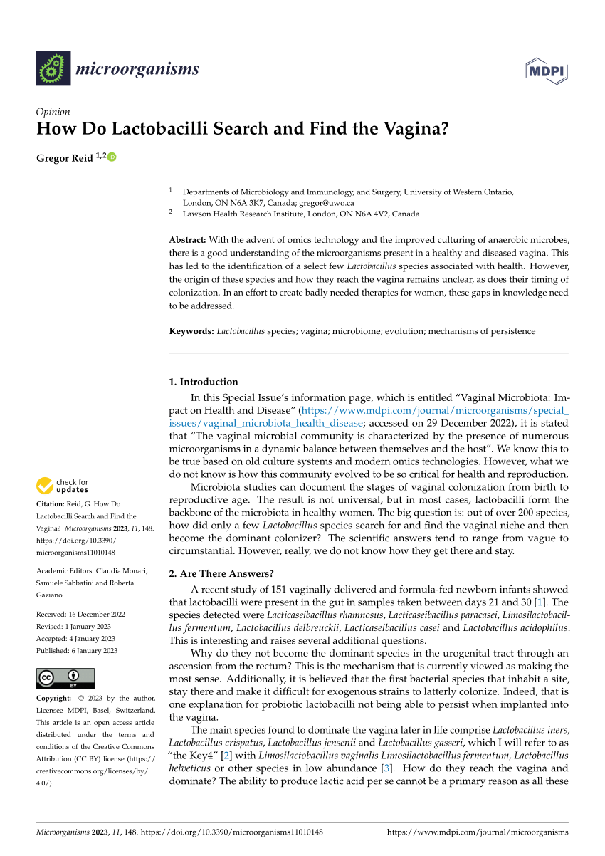 Lactobacillus Rhamnosus - Niance