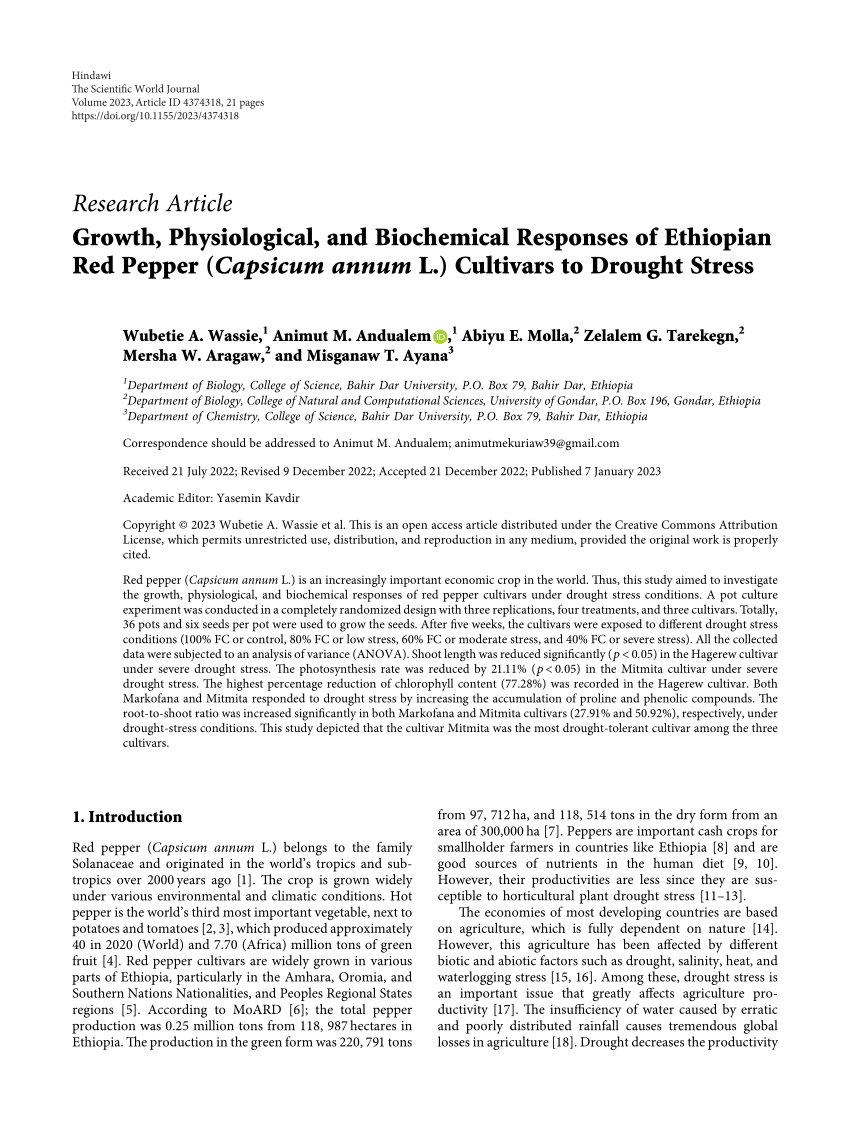 https://i1.rgstatic.net/publication/366950241_Growth_Physiological_and_Biochemical_Responses_of_Ethiopian_Red_Pepper_Capsicum_annum_L_Cultivars_to_Drought_Stress/links/63bb6bd8c3c99660ebdcab24/largepreview.png