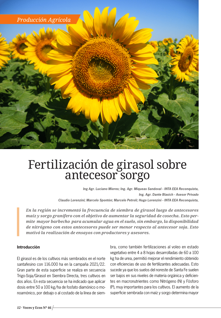 PDF) Fertilización de girasol sobre antecesor sorgo