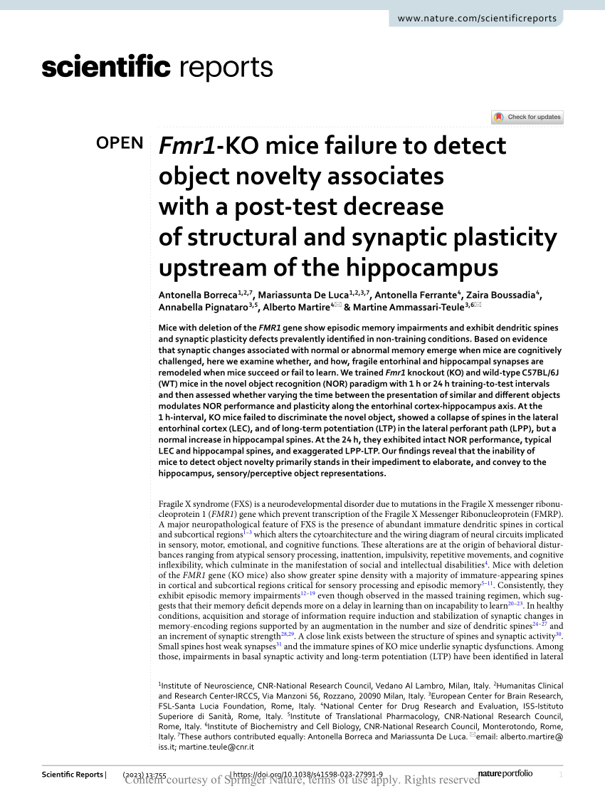 Fmr1-KO mice demonstrate enhanced responding upon rule reversal in