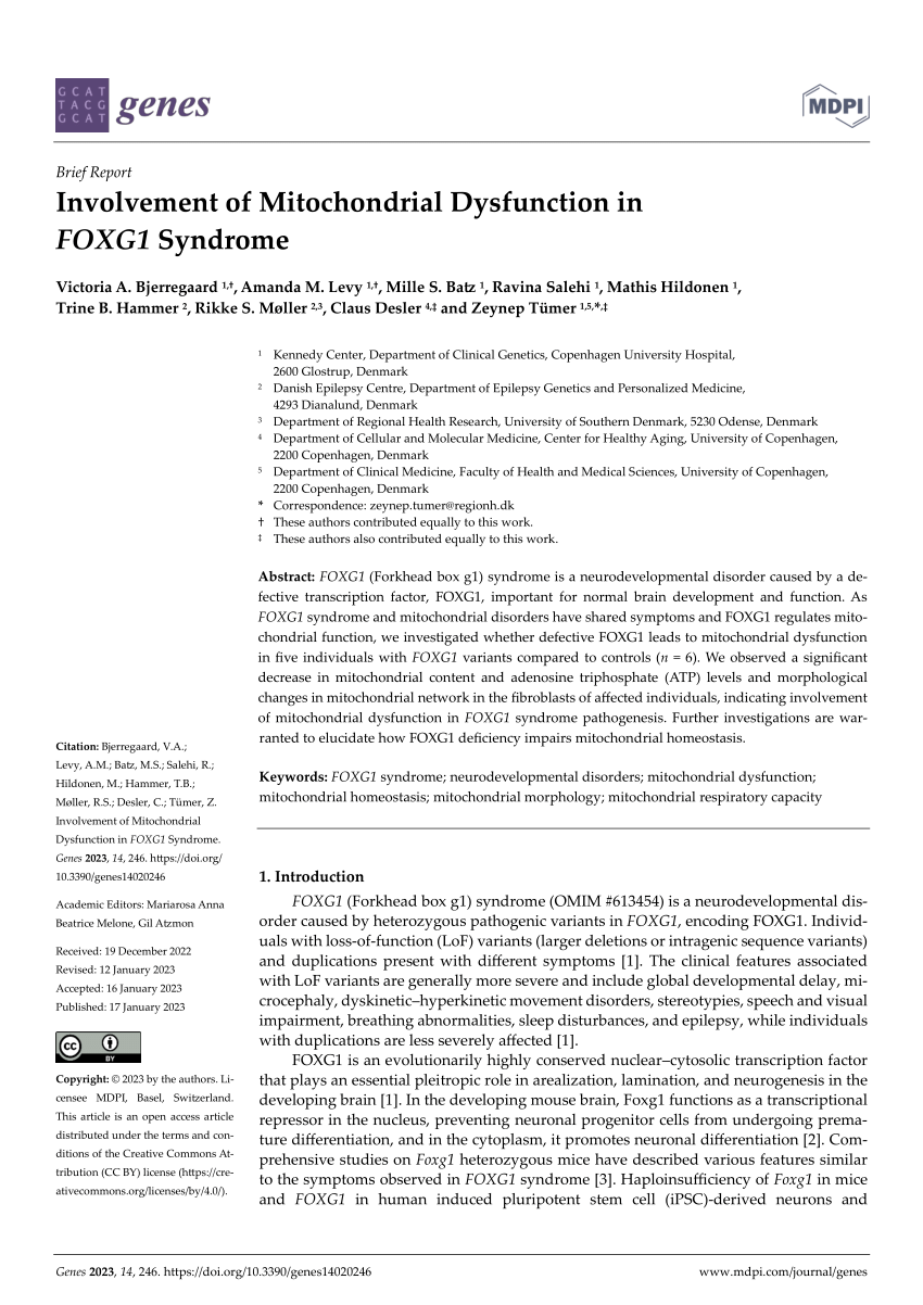 Tilgængelig assimilation etiket PDF) Involvement of Mitochondrial Dysfunction in FOXG1 Syndrome