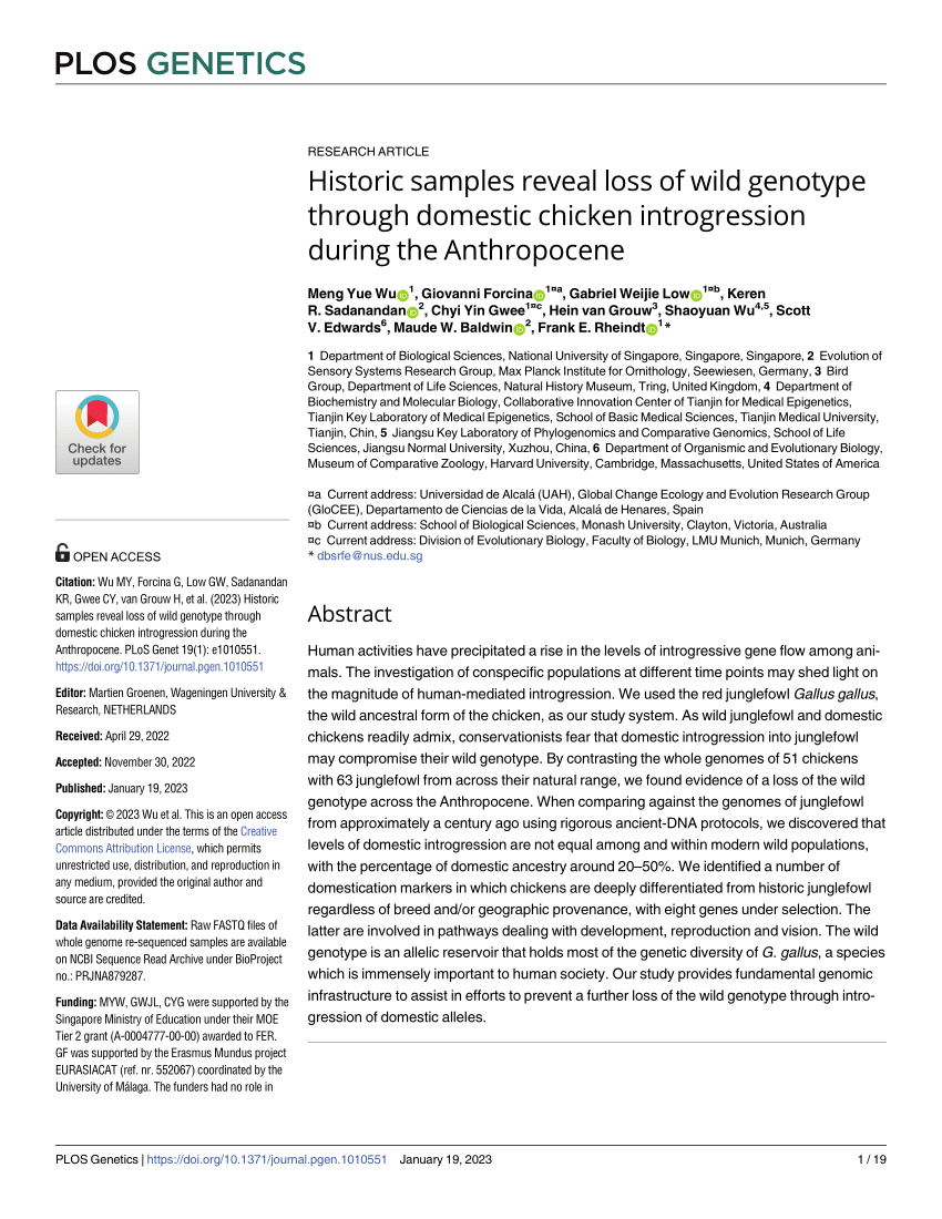 PDF) Historic samples reveal loss of wild genotype through