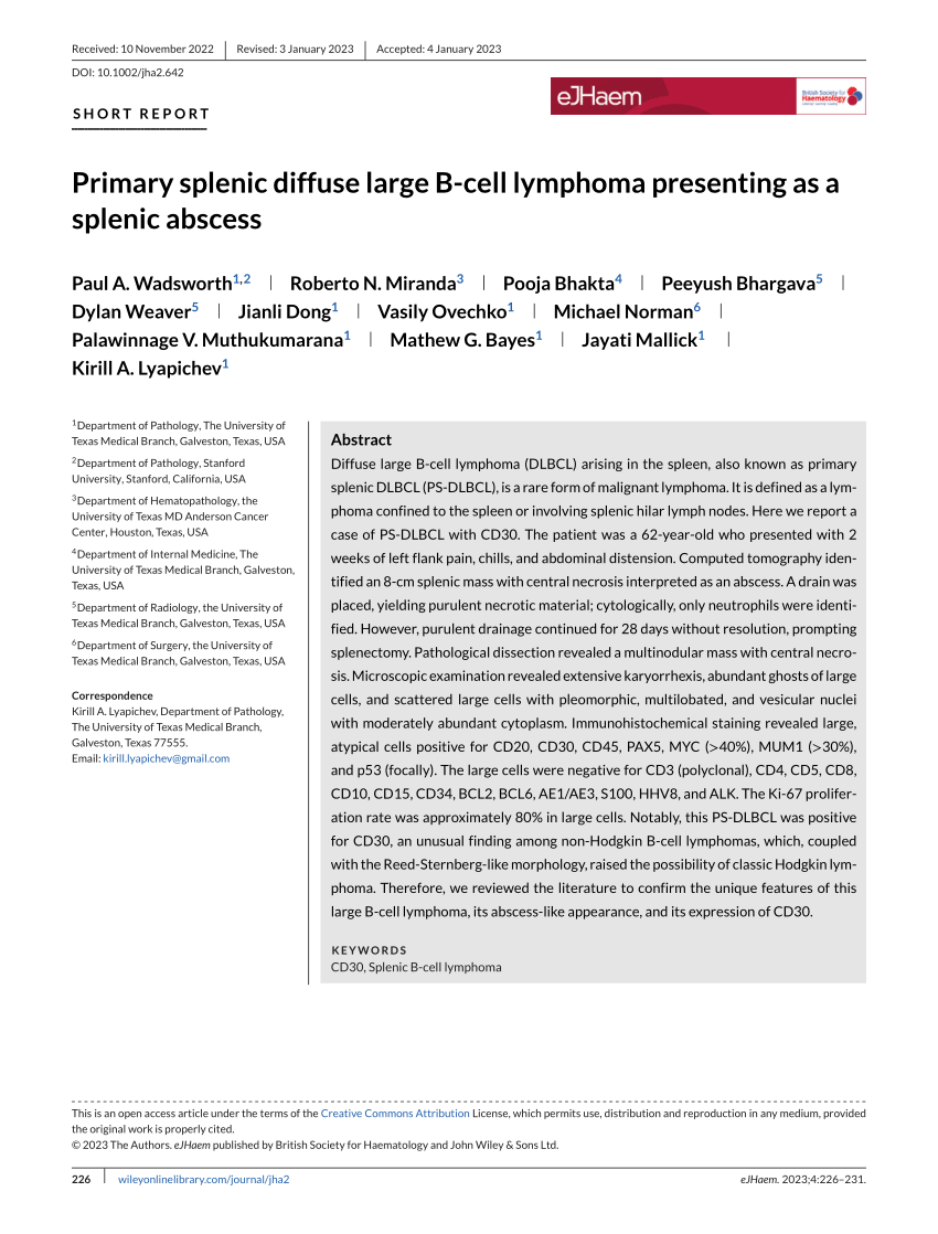 Pdf Primary Splenic Diffuse Large B‐cell Lymphoma Presenting As A Splenic Abscess 6383