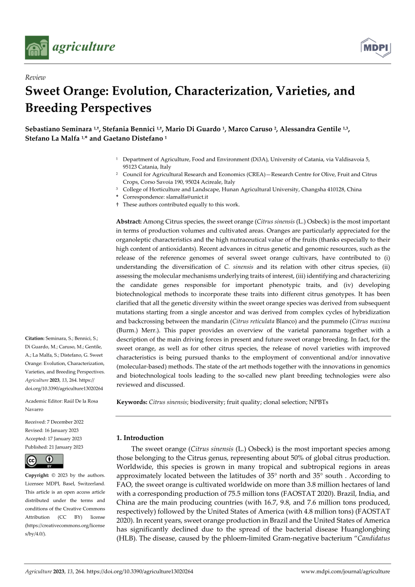 https://i1.rgstatic.net/publication/367396745_Sweet_Orange_Evolution_Characterization_Varieties_and_Breeding_Perspectives/links/63d12baf6fe15d6a5749dde6/largepreview.png