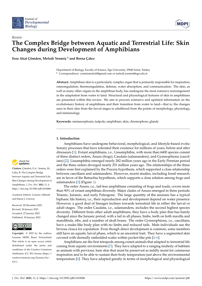 (PDF) The Complex Bridge Between Aquatic and Terrestrial Life: Skin