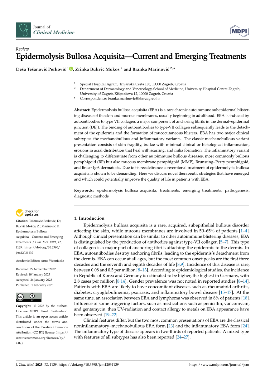 Frontiers  Epidermolysis Bullosa Acquisita: The 2019 Update