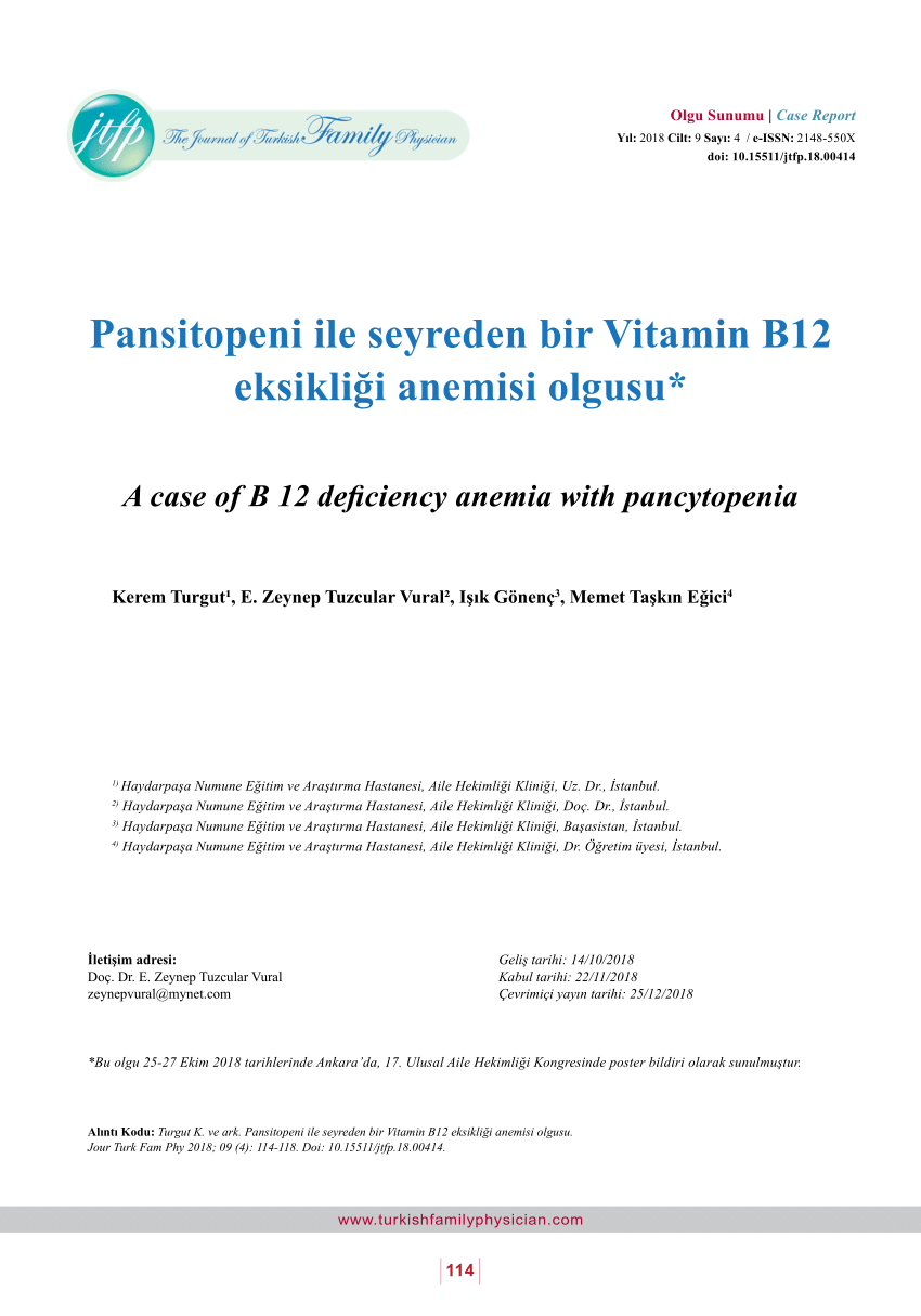 PDF A case of B 12 deficiency anemia with pancytopenia 